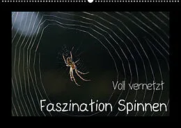 Kalender Voll vernetzt - Faszination Spinnen (Wandkalender 2022 DIN A2 quer) von Sigrid Enkemeier