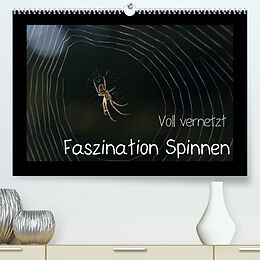 Kalender Voll vernetzt - Faszination Spinnen (Premium, hochwertiger DIN A2 Wandkalender 2022, Kunstdruck in Hochglanz) von Sigrid Enkemeier