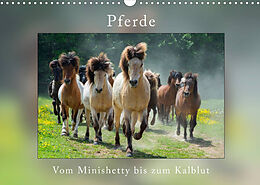 Kalender Pferde Vom Minishetty bis zum Kaltblut (Wandkalender 2022 DIN A3 quer) von Angelika Beuck