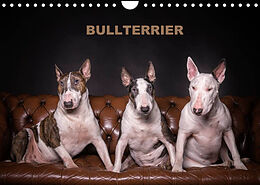 Kalender Bullterrier (Wandkalender 2022 DIN A4 quer) von Sven Schubert