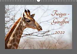 Kalender Twigas - Giraffen (Wandkalender 2022 DIN A3 quer) von ©Kirsten und Holger Karius
