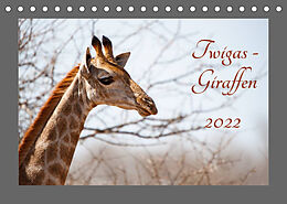 Kalender Twigas - Giraffen (Tischkalender 2022 DIN A5 quer) von ©Kirsten und Holger Karius