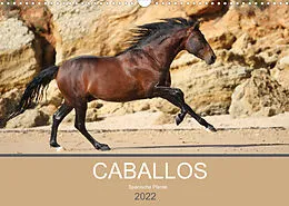 Kalender Caballos Spanische Pferde 2022 (Wandkalender 2022 DIN A3 quer) von Petra Eckerl Tierfotografie