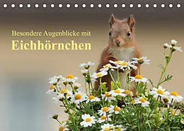Kalender Besondere Augenblicke mit Eichhörnchen (Tischkalender 2022 DIN A5 quer) von Tine Meier