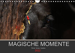 Kalender Magische Momente - Pferde Horses Caballos (Wandkalender 2022 DIN A4 quer) von Petra Eckerl Tierfotografie www.petraeckerl.com