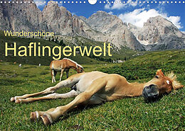 Kalender Wunderschöne Haflingerwelt (Wandkalender 2022 DIN A3 quer) von Michael Rucker