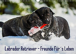 Kalender Labrador Retriever - Freunde für´s Leben (Wandkalender 2022 DIN A3 quer) von Sigrid Starick