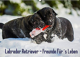 Kalender Labrador Retriever - Freunde für´s Leben (Wandkalender 2022 DIN A2 quer) von Sigrid Starick