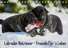 Kalender Labrador Retriever - Freunde für´s Leben (Tischkalender 2022 DIN A5 quer) von Sigrid Starick