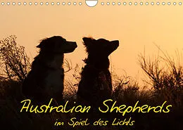 Kalender Australian Shepherds im Spiel des Lichts (Wandkalender 2022 DIN A4 quer) von Angela Münzel-Hashish - www.tierphotografie.com
