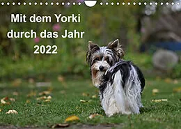 Kalender Mit dem Yorki durch das Jahr 2022 (Wandkalender 2022 DIN A4 quer) von Friedhelm Bauer