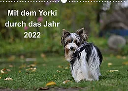 Kalender Mit dem Yorki durch das Jahr 2022 (Wandkalender 2022 DIN A3 quer) von Friedhelm Bauer