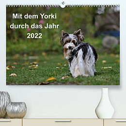 Kalender Mit dem Yorki durch das Jahr 2022 (Premium, hochwertiger DIN A2 Wandkalender 2022, Kunstdruck in Hochglanz) von Friedhelm Bauer