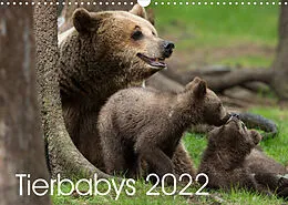 Kalender Tierbabys 2022 (Wandkalender 2022 DIN A3 quer) von Johann Schörkhuber