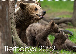 Kalender Tierbabys 2022 (Wandkalender 2022 DIN A2 quer) von Johann Schörkhuber