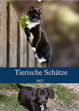 Kalender Tierische Schätze (Wandkalender 2022 DIN A2 hoch) von Doris Metternich
