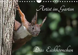 Kalender Artist im Garten. Das Eichhörnchen (Wandkalender 2022 DIN A4 quer) von Klaus Konieczka