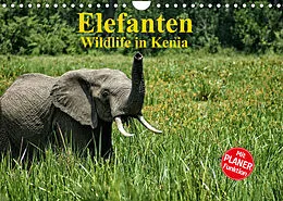 Kalender Elefanten . Wildlife in Kenia (Wandkalender 2022 DIN A4 quer) von Susan Michel