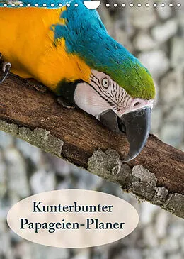 Kalender Kunterbunter Papageien-Planer (Wandkalender 2022 DIN A4 hoch) von Angelika Beuck