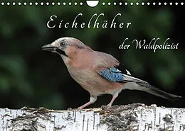 Kalender Eichelhäher der Waldpolizist (Wandkalender 2022 DIN A4 quer) von Klaus Konieczka