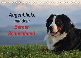 Kalender Augenblicke mit dem Berner Sennenhund (Tischkalender 2022 DIN A5 quer) von Hubert Hunscheidt