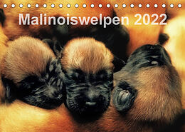 Kalender Malinoiswelpen 2022 (Tischkalender 2022 DIN A5 quer) von Susanne Schwarzer