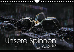 Kalender Unsere Spinnen - im Gespräch (Wandkalender 2022 DIN A4 quer) von Carl-Peter Herbolzheimer