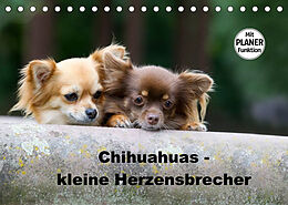 Kalender Chihuahuas - kleine Herzensbrecher (Tischkalender 2022 DIN A5 quer) von Verena Scholze