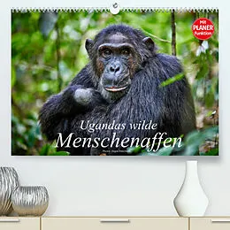 Kalender Ugandas wilde Menschenaffen (Premium, hochwertiger DIN A2 Wandkalender 2022, Kunstdruck in Hochglanz) von Jürgen Ritterbach