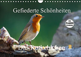 Kalender Gefiederte Schönheiten - Das Rotkehlchen / Planer (Wandkalender 2022 DIN A4 quer) von Rolf Pötsch