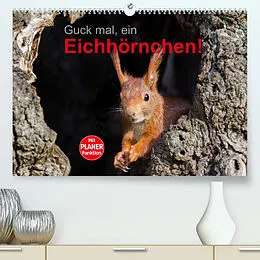 Kalender Guck mal, ein Eichhörnchen! (Premium, hochwertiger DIN A2 Wandkalender 2022, Kunstdruck in Hochglanz) von Margret Brackhan