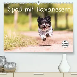 Kalender Spaß mit Havanesern (Premium, hochwertiger DIN A2 Wandkalender 2022, Kunstdruck in Hochglanz) von Sonja Teßen