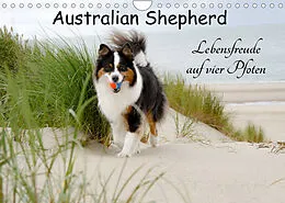 Kalender Australian Shepherd - Lebensfreude auf vier Pfoten (Wandkalender 2022 DIN A4 quer) von Miriam Nozulak