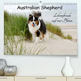 Kalender Australian Shepherd - Lebensfreude auf vier Pfoten (Premium, hochwertiger DIN A2 Wandkalender 2022, Kunstdruck in Hochglanz) von Miriam Nozulak