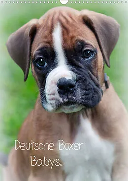 Kalender Deutsche Boxer Babys... (Wandkalender 2022 DIN A3 hoch) von Nicole Schwalm Böttcher