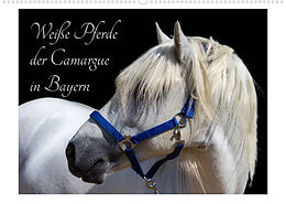 Kalender Weiße Pferde der Camargue in Bayern (Wandkalender 2022 DIN A2 quer) von photography brigitte jaritz