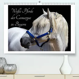 Kalender Weiße Pferde der Camargue in Bayern (Premium, hochwertiger DIN A2 Wandkalender 2022, Kunstdruck in Hochglanz) von photography brigitte jaritz