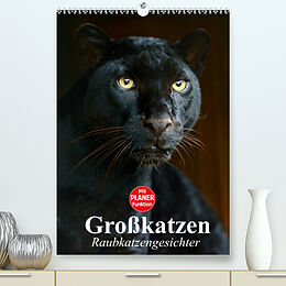 Kalender Großkatzen. Raubkatzengesichter (Premium, hochwertiger DIN A2 Wandkalender 2022, Kunstdruck in Hochglanz) von Elisabeth Stanzer