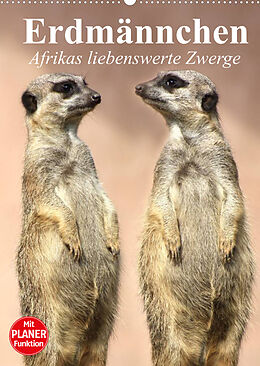Kalender Erdmännchen - Afrikas liebenswerte Zwerge (Wandkalender 2022 DIN A2 hoch) von Elisabeth Stanzer