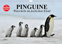 Kalender Pinguine - Watscheln im festlichen Kleid (Wandkalender 2022 DIN A4 quer) von Elisabeth Stanzer