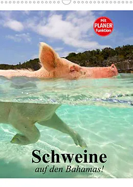 Kalender Schweine auf den Bahamas! (Wandkalender 2022 DIN A3 hoch) von Elisabeth Stanzer