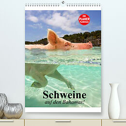 Kalender Schweine auf den Bahamas! (Premium, hochwertiger DIN A2 Wandkalender 2022, Kunstdruck in Hochglanz) von Elisabeth Stanzer
