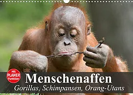 Kalender Menschenaffen. Gorillas, Schimpansen, Orang-Utans (Wandkalender 2022 DIN A3 quer) von Elisabeth Stanzer