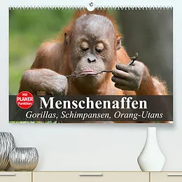 Kalender Menschenaffen. Gorillas, Schimpansen, Orang-Utans (Premium, hochwertiger DIN A2 Wandkalender 2022, Kunstdruck in Hochglanz) von Elisabeth Stanzer
