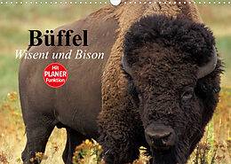 Kalender Büffel. Wisent und Bison (Wandkalender 2022 DIN A3 quer) von Elisabeth Stanzer