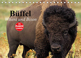 Kalender Büffel. Wisent und Bison (Tischkalender 2022 DIN A5 quer) von Elisabeth Stanzer