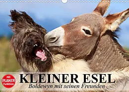 Kalender Kleiner Esel. Boldewyn mit seinen Freunden (Wandkalender 2022 DIN A3 quer) von Elisabeth Stanzer