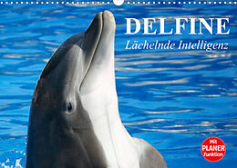 Kalender Delfine - Lächelnde Intelligenz (Wandkalender 2022 DIN A3 quer) von Elisabeth Stanzer