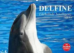 Kalender Delfine - Lächelnde Intelligenz (Wandkalender 2022 DIN A2 quer) von Elisabeth Stanzer