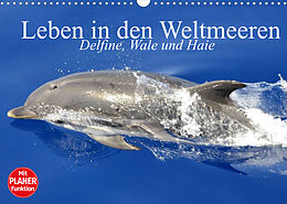 Kalender Leben in den Weltmeeren. Delfine, Wale und Haie (Wandkalender 2022 DIN A3 quer) von Elisabeth Stanzer